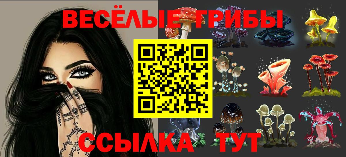 Галлюциногенные грибы мицелий  Вход с VPN  Холмск 